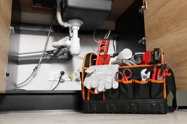 Best Best Plumbers Near Me  in Osceola, IA