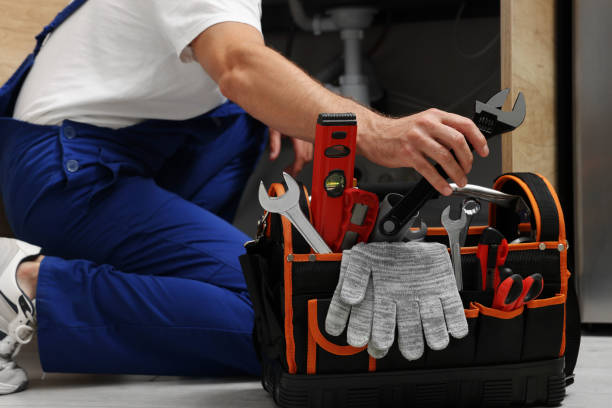 Best Commercial Plumbing Services  in Osceola, IA